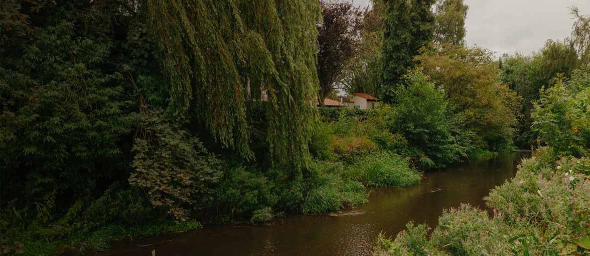 Riverbed in Stokesley