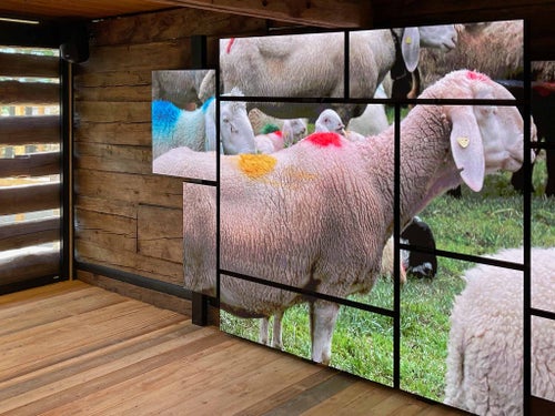 campus transhumanza ©archeoParc Schnalstal, Foto Ganesh Neumair