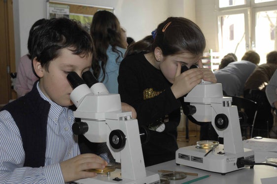 Museo di Scienze Naturali dell'Alto Adige, workshop per bambini. Foto Seehauser