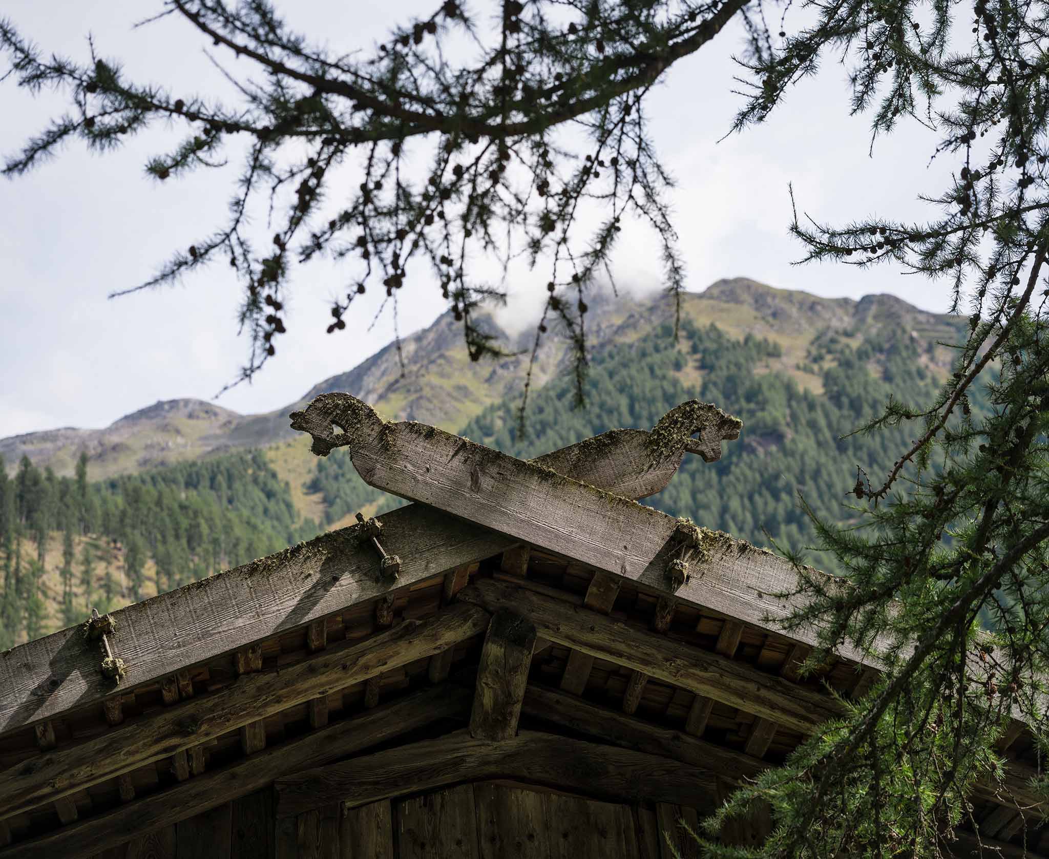 campus transhumanza ©archeoParc Schnalstal, Foto Ganesh Neumair