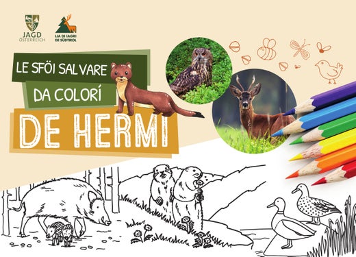 Das Cover des Kinderbuchs „Le sföi salvare da colorí de Hermi“