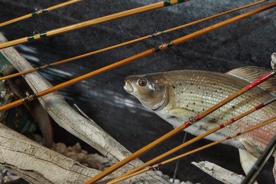 Castel Wolfsthurn - Museo provinciale della caccia e della pesca, mostra permanente. Foto Hermann Maria Gasser