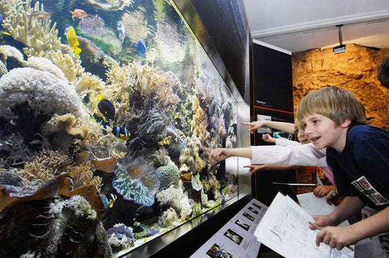 Museo di scienze naturali, acquario. Foto Seehauser