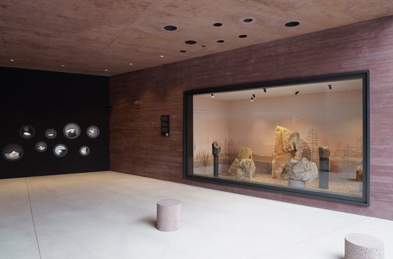 Fossilia. Foto Martin Riegler - areum architecture 