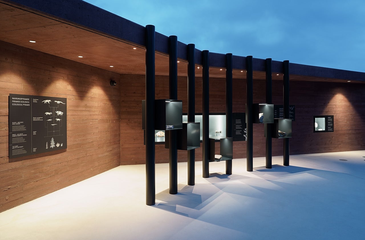 Fossilia. Foto Martin Riegler - areum architecture 