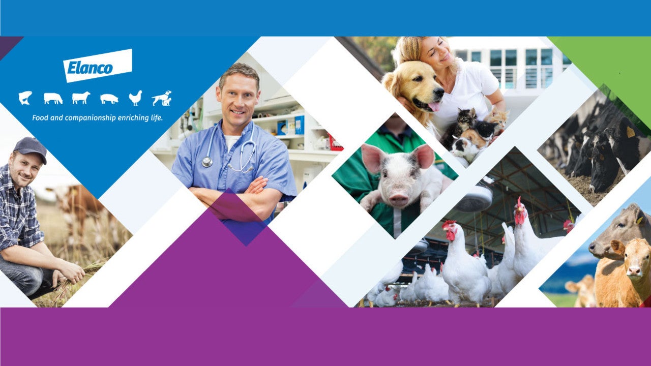 Products & Services - Animal Health, Productivity & Food Chain Safety