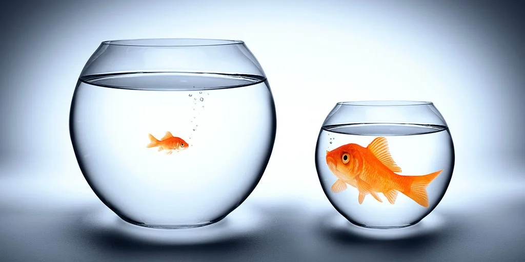 Adequate Life Insurance & How to Help Avoid Underinsurance