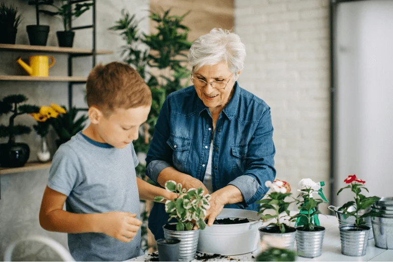 Everything You Need To Know About Life Insurance