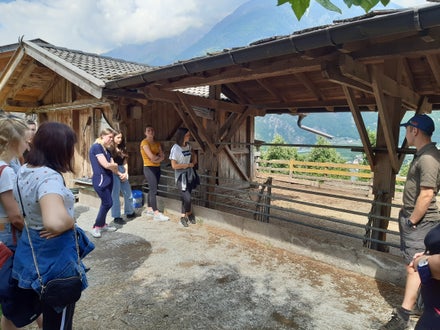 Lehrausgang Niedereben 4. Klasse Foto: FS Tisens