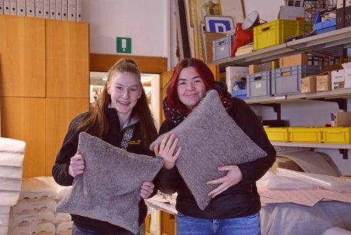 Betriebsbesichtigung Inama Dekor. Foto: FS Tisens