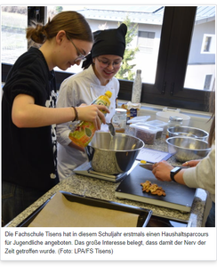 Pressemitteilung LPA Haushaltsparcour für Jugendliche. Screenshot FS Tisens