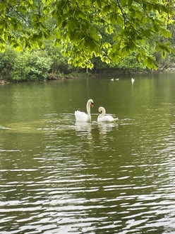 Schüleraustausch mit Partnerschule in München. Foto: FS Tisens