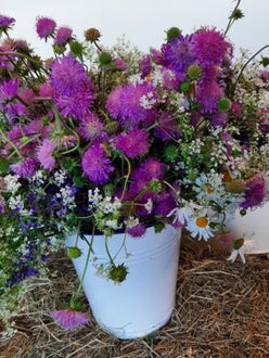 Wiesenblumen auf Heuballen. Foto: FS Tisens