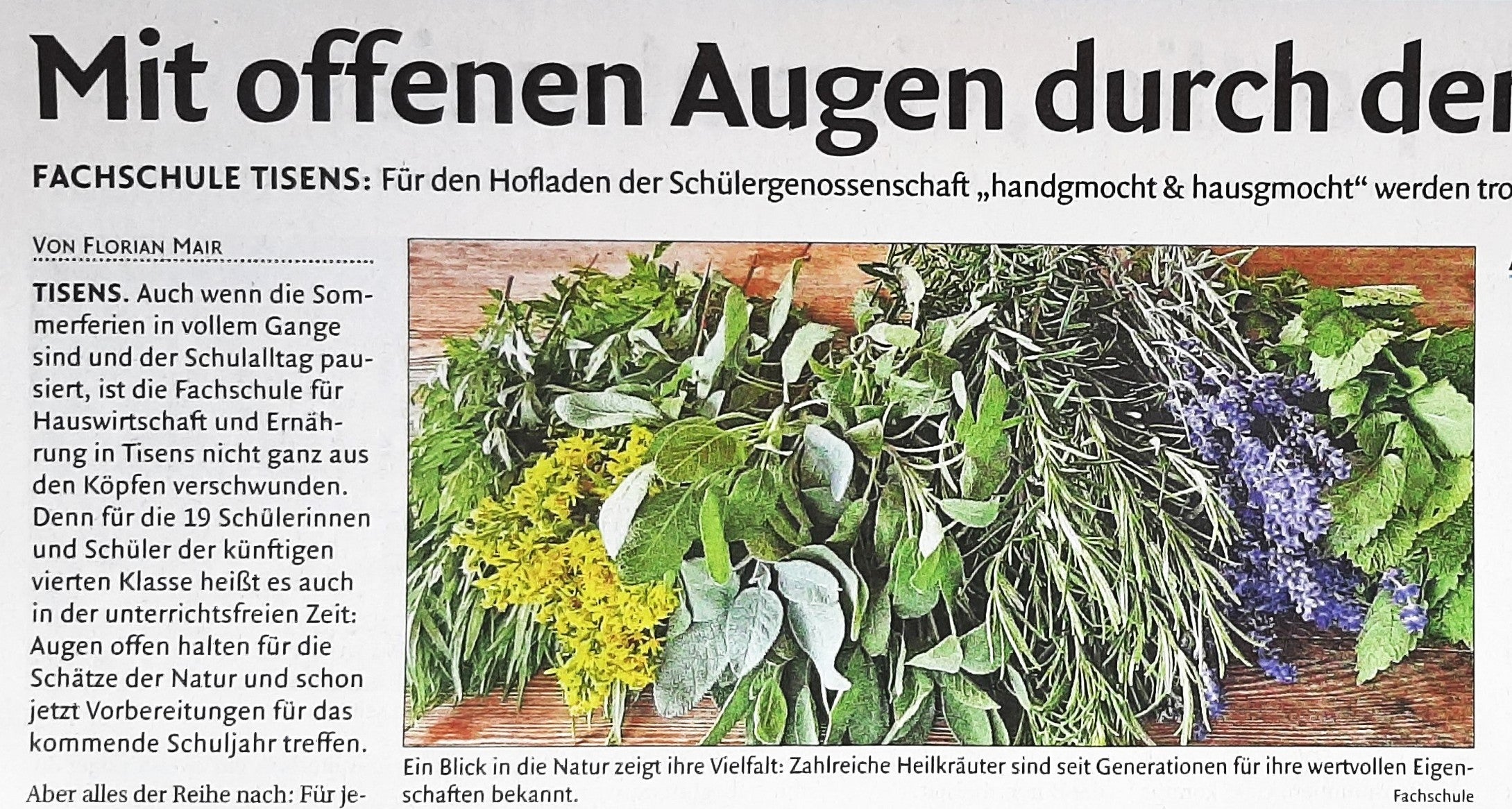Artikel in Dolomiten
