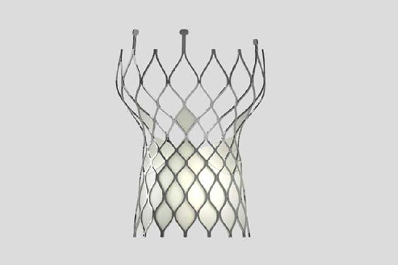 How Statistical Shape Modeling Supports Structural Heart Device