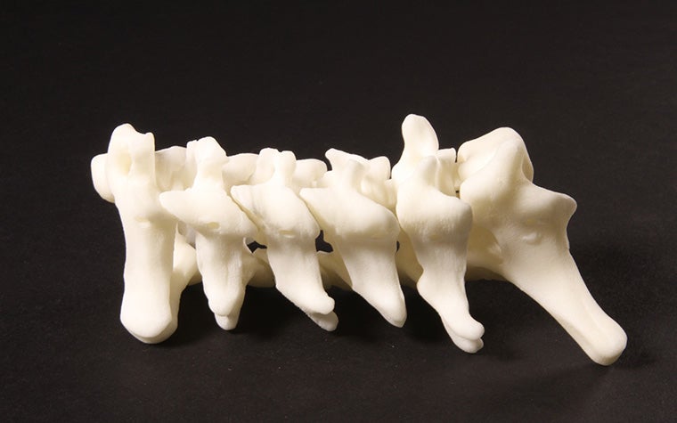 3d-printed-spine.jpg