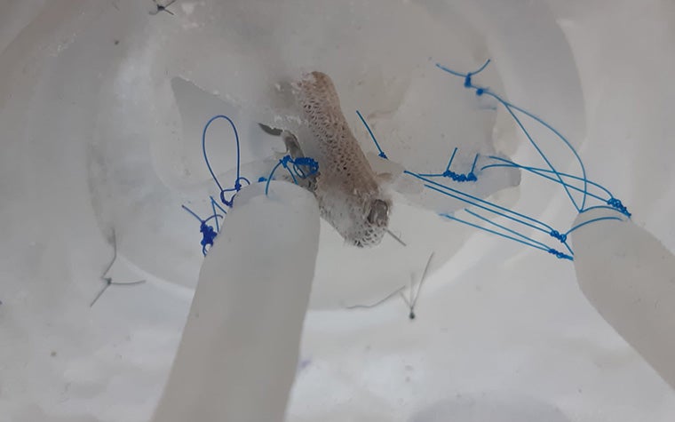 デジタルTEERシミュレーターモデルの詳細。