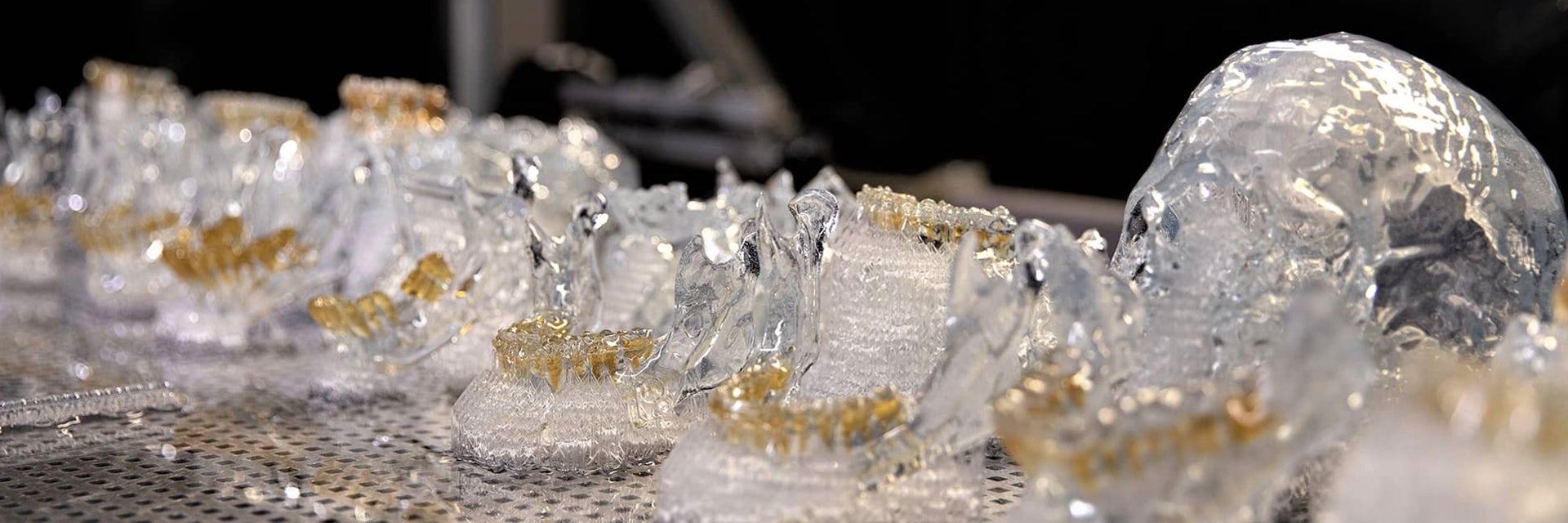 3D printed anatomical models on a shelf 