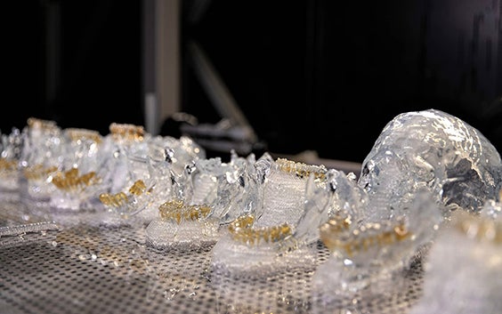 3D printed anatomical models on a shelf 