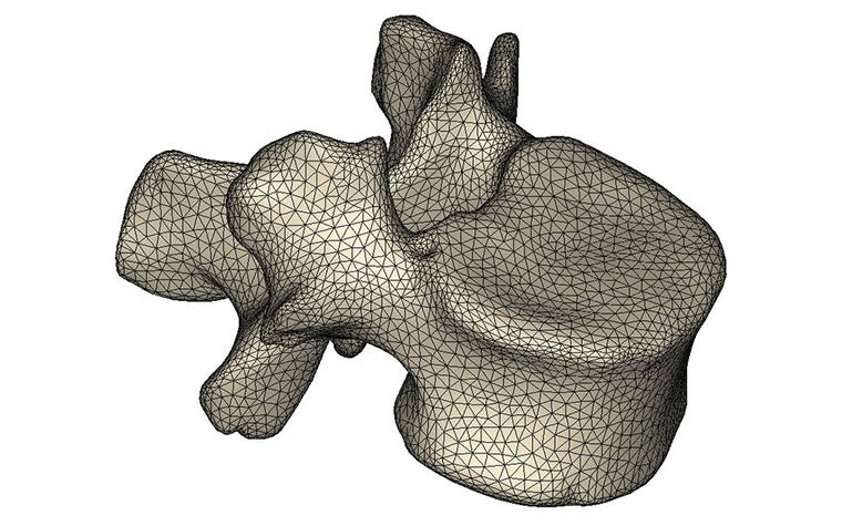 stl-mesh-fea-spine-model.jpg