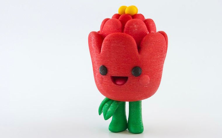 Red flower printed in Multicolor+