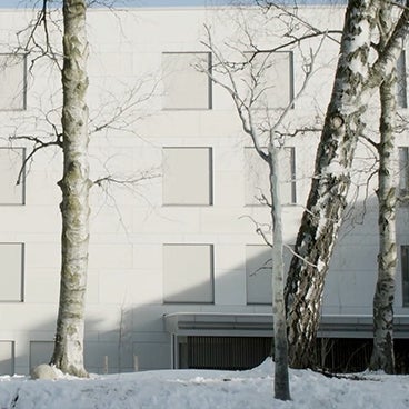 Between Memory and Reality: Artists Use TetraShell to Create Bronze Tree Sculpture