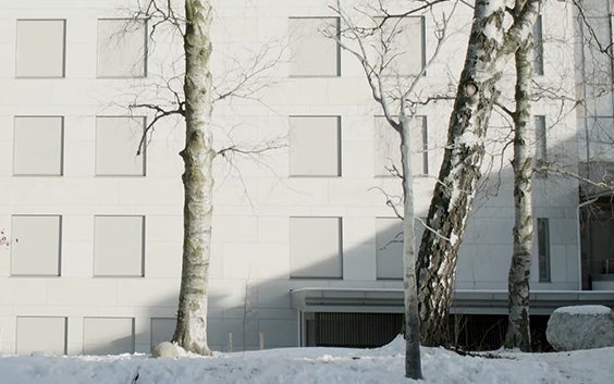 Between Memory and Reality: Artists Use TetraShell to Create Bronze Tree Sculpture