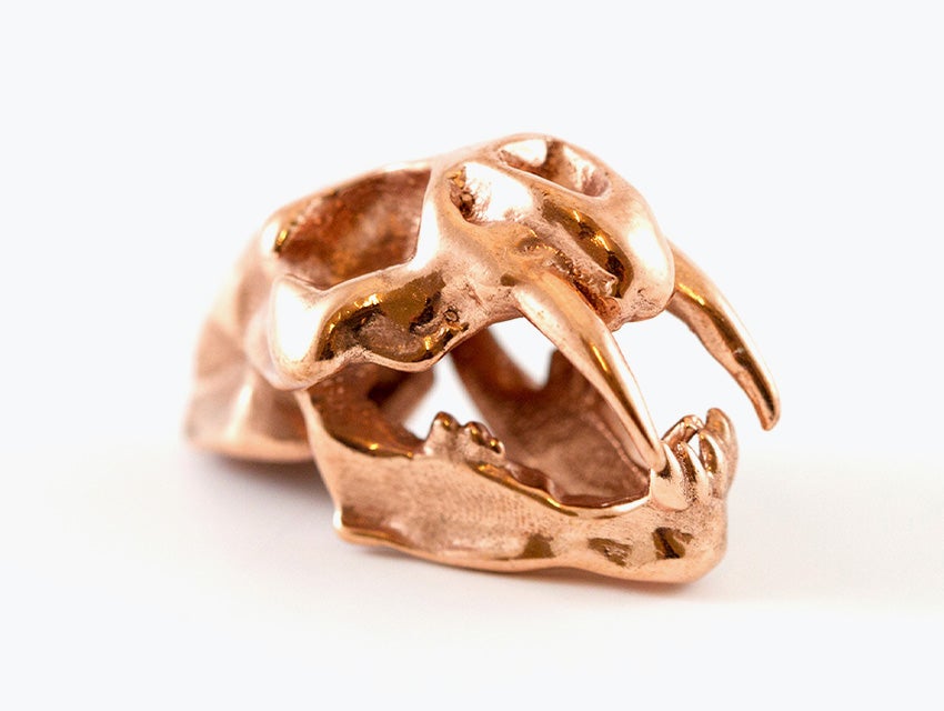 Modello di cranio di tigre dai denti a sciabola realizzato in rame con la tecnica della fusione a cera persa.