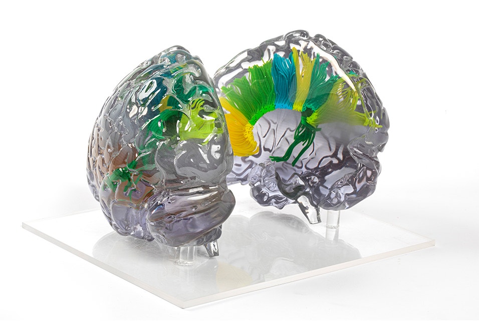 Polyjet PolyJet (PJ) 3D Printing Service | 3D Printing Technology