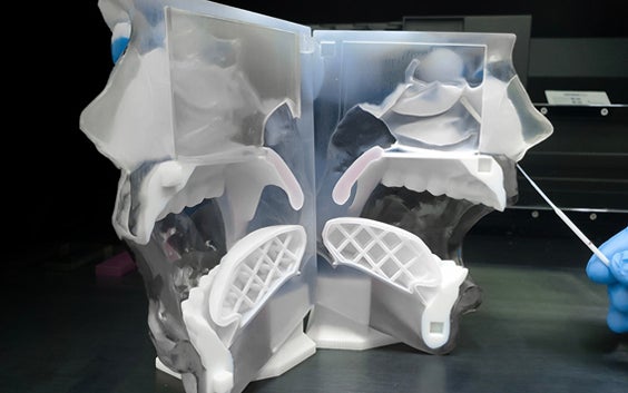 Simulation of one of the three procedures of swab