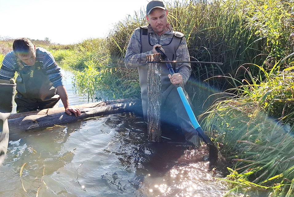 Two men are placing wood in the water of the Drevlyanskyi nature reserve. One of the men is holding a log in place while another is holding a tube and placing on a vertical log. Both are knee-height in water 