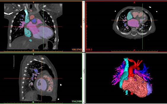 3D Lab in a Hospital Environment