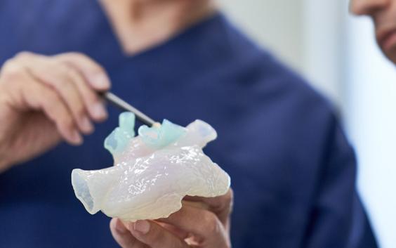 Man using a tool to point to a 3D-printed anatomical model in his hand