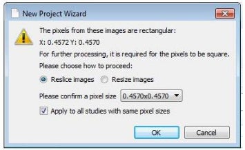 Screenshot of the New Project Wizard
