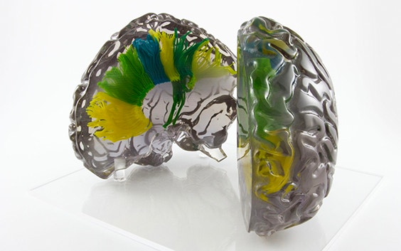 Multiple Materials in One Print with PolyJet: 30 Years of Innovation