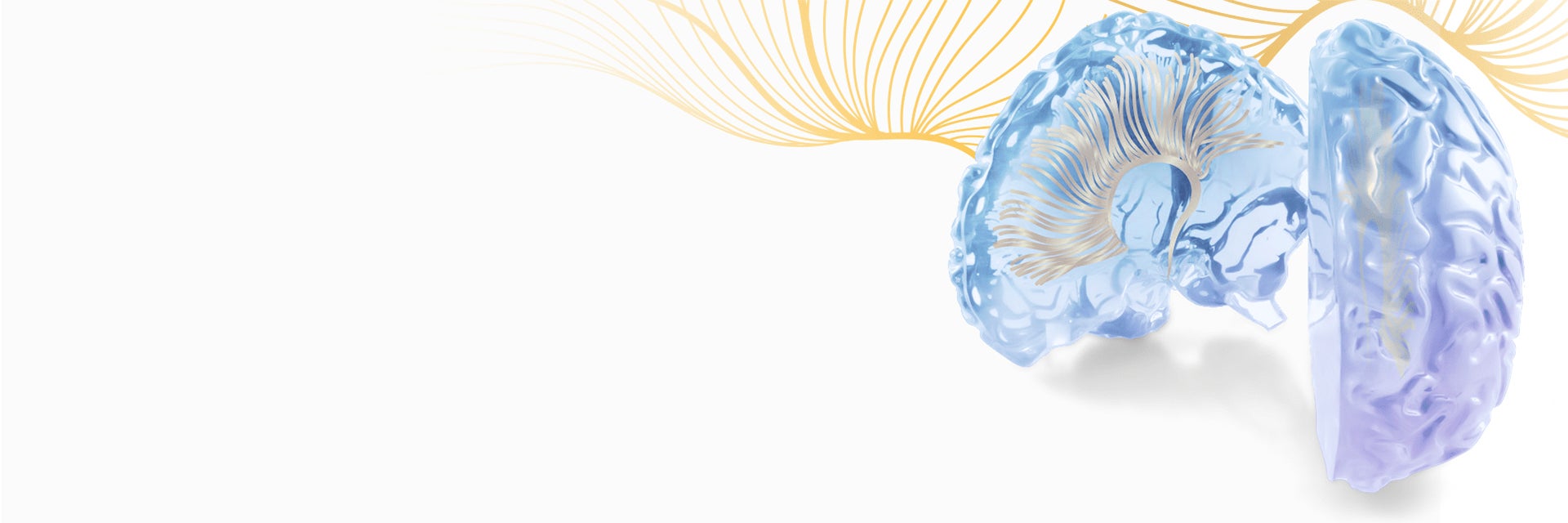 Translucent, 3D-printed brain model in front of yellow abstract lines