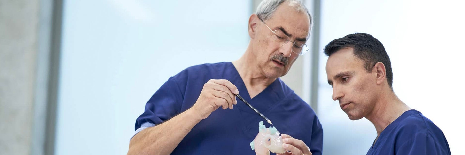 解剖学的モデルについて話し合う医師 