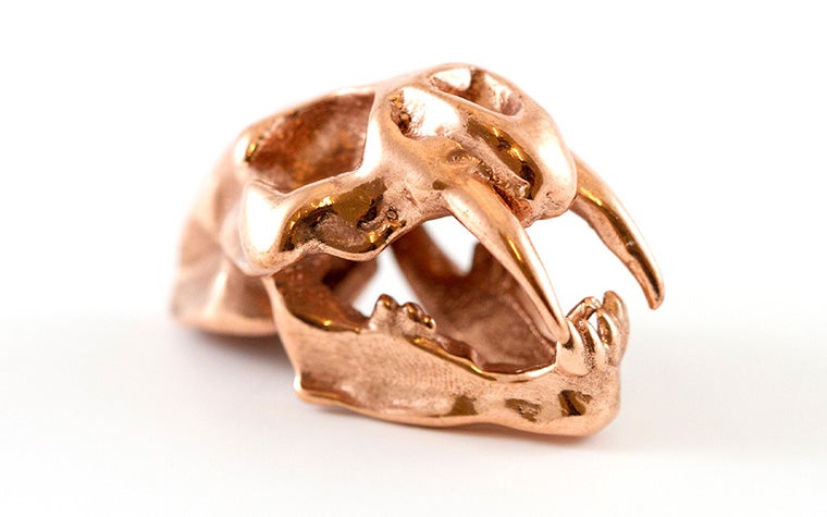 A model of a saber-toothed tiger skull made in copper using lost-wax casting.