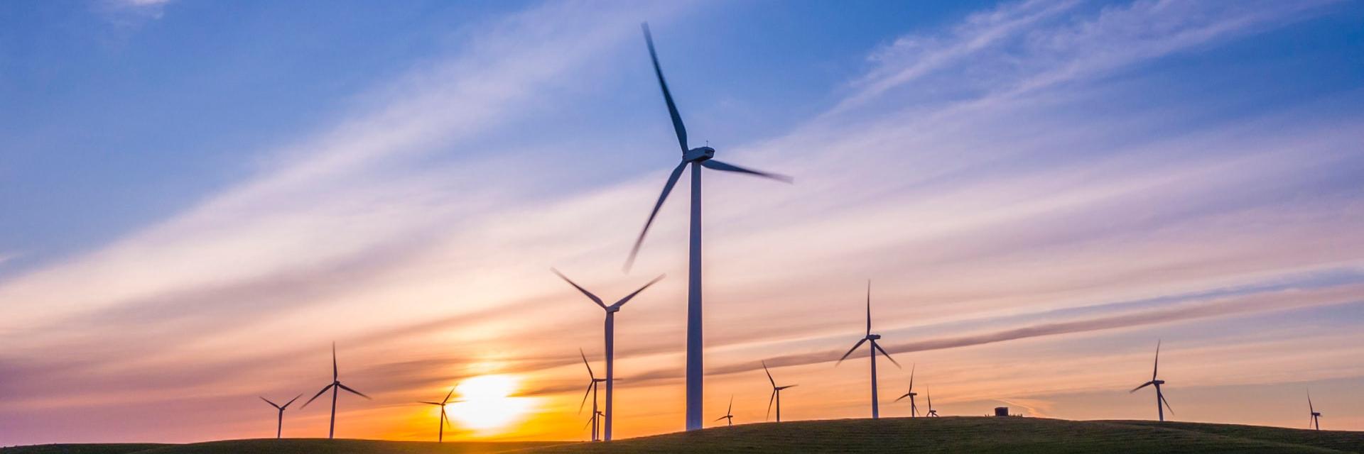 Wind turbines in a field during sunset