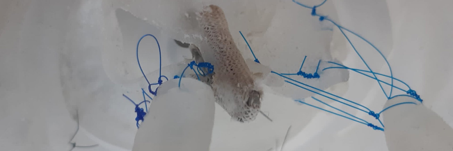 デジタルTEERシミュレーターモデルの詳細。