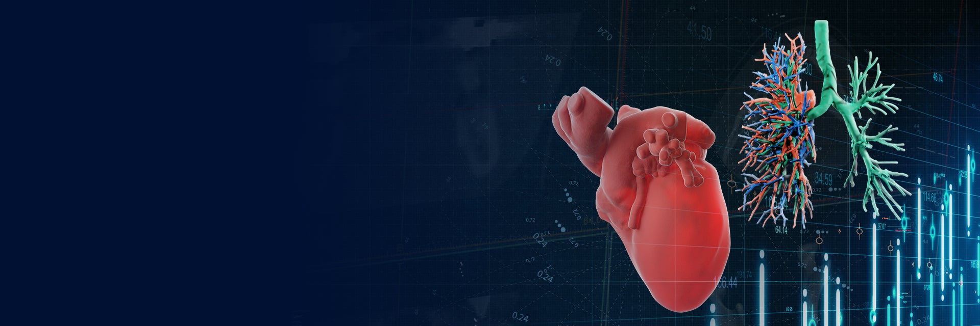 Digital render of a heart and the airways and circulation system in a pair of lungs