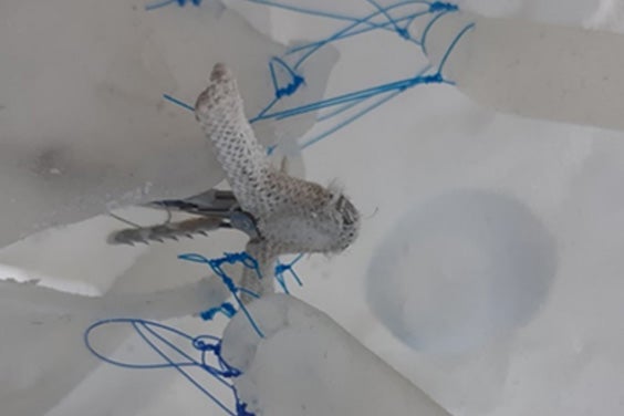 使用中のベンチトップ型TEERシミュレーター。