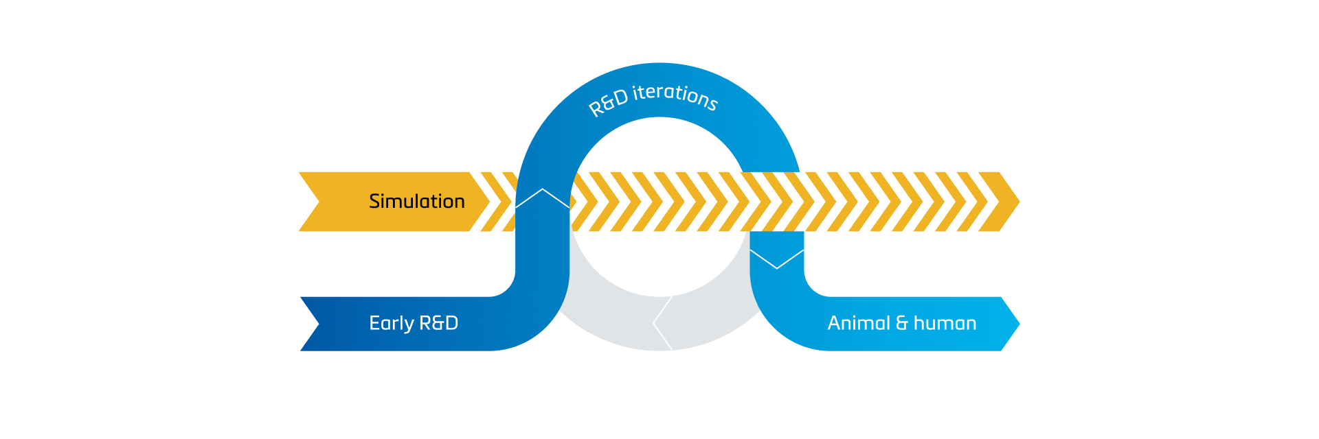 Illustration of a medical device development workflow showing “Simulation” integrated into the process between “Early R&D” and “Animal & human,” with a looping pathway labeled “R&D iterations” to represent iterative design and testing.