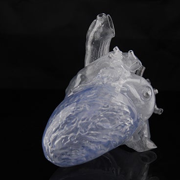hc-transparent-heart-model.jpg