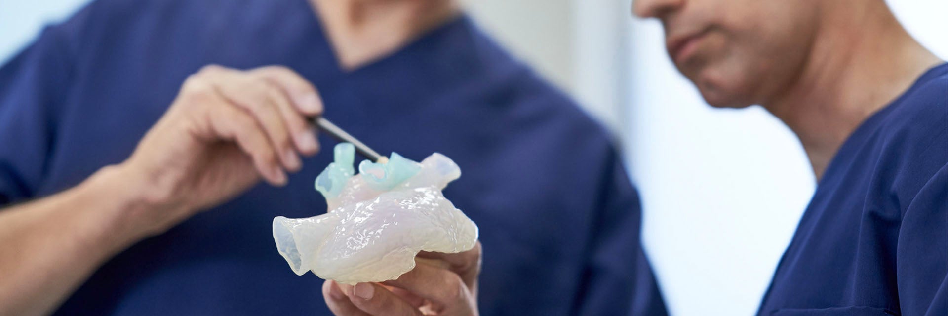 Man using a tool to point to a 3D-printed anatomical model in his hand