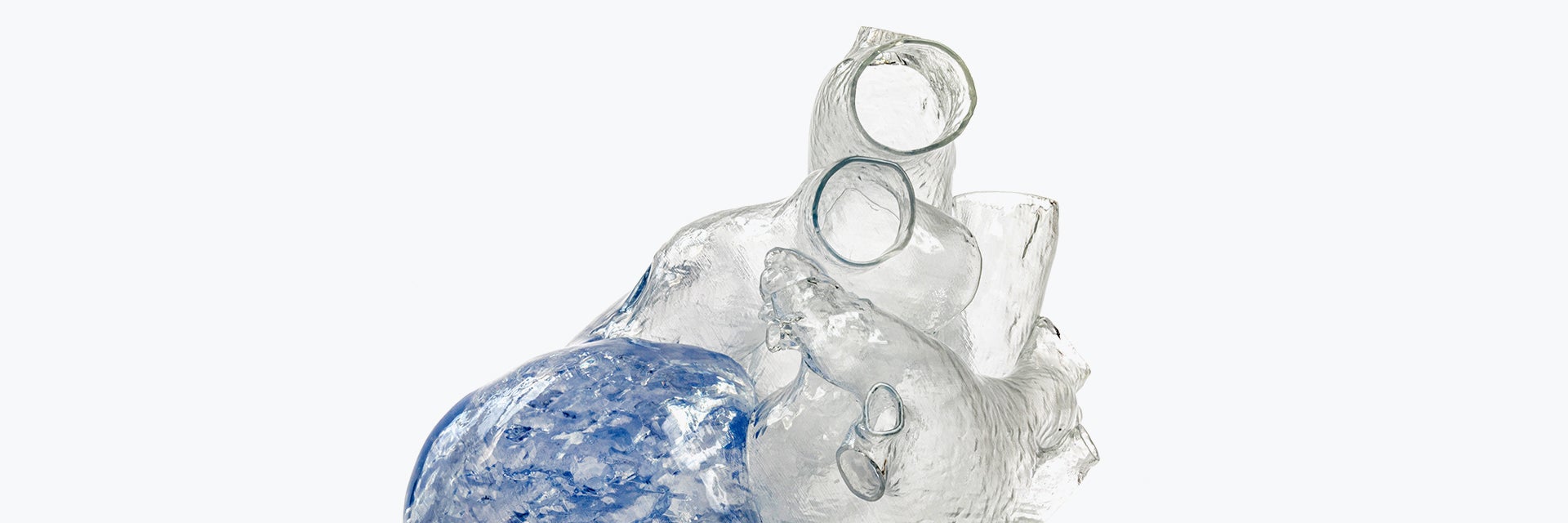 Transparent, 3D-printed model of a heart