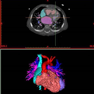 3D Lab in a Hospital Environment
