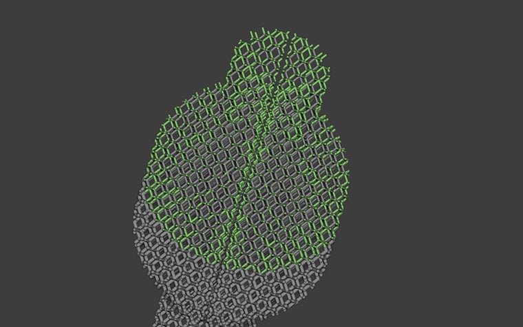 레티스를 사용하여 생성된 3D 모델