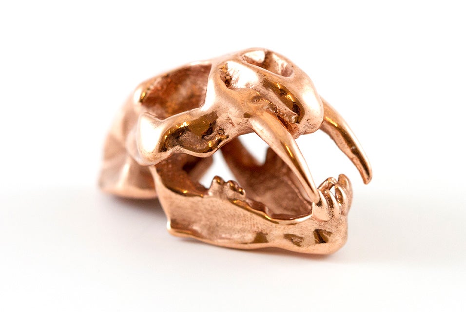 A model of a saber-toothed tiger skull made in copper using lost-wax casting.