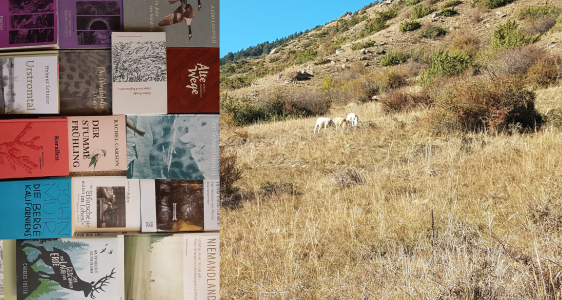 Nature Writing (Foto: Naturmuseum Bozen)